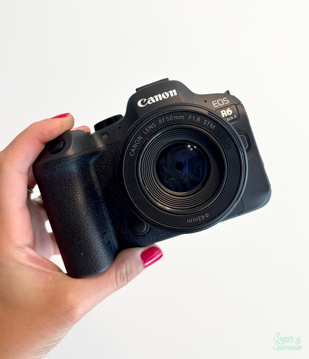 canon eos r6 mark II camera for food photography