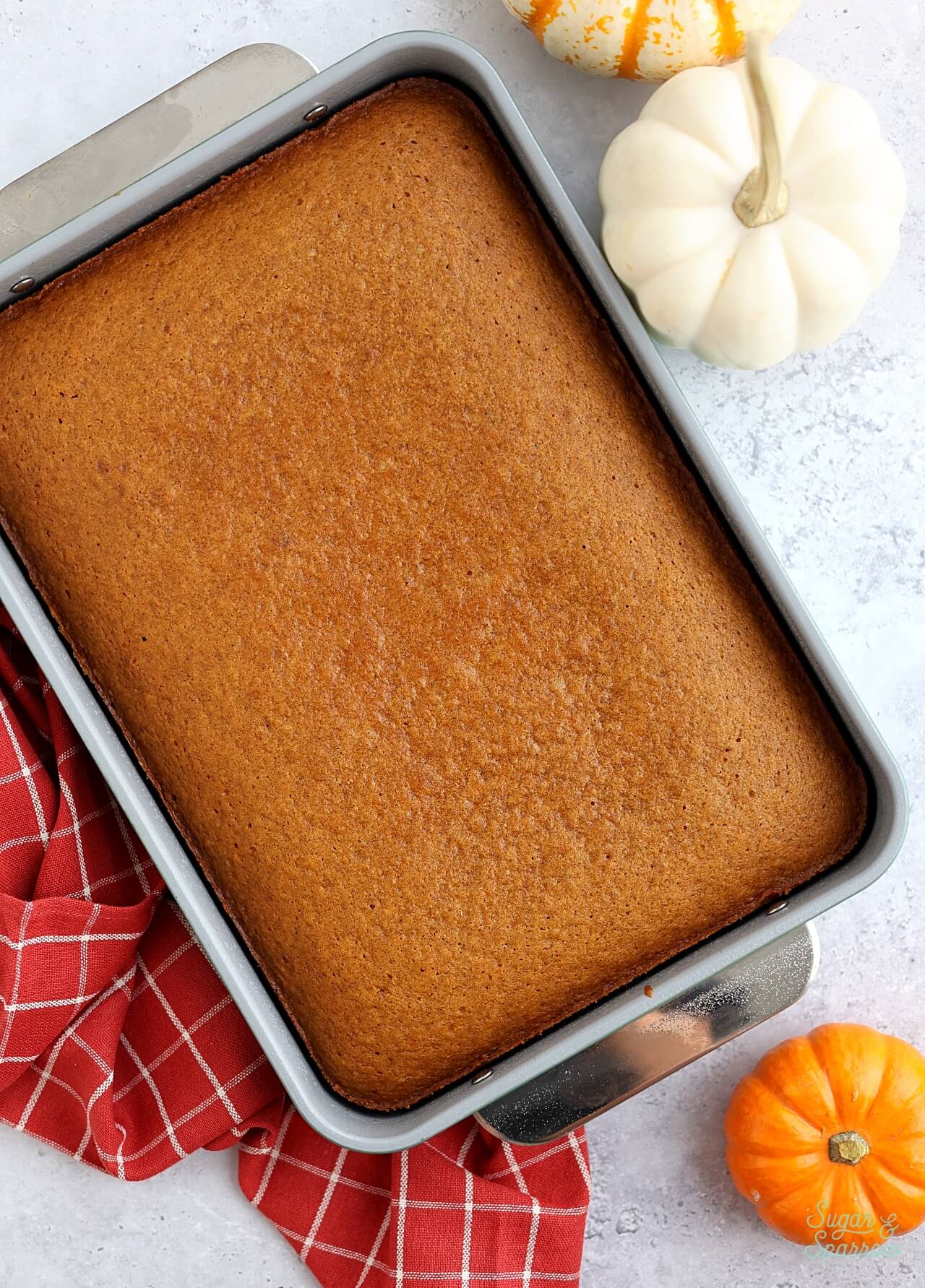 pumpkin sheet cake in a 9x13 pan