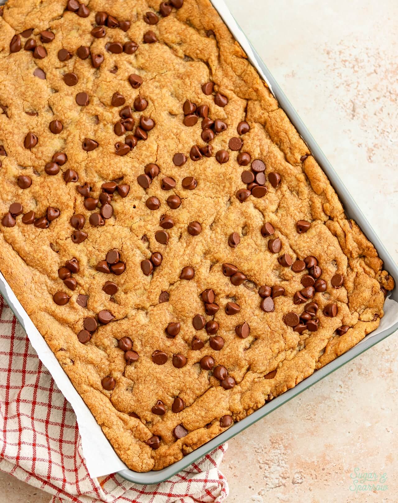 sheet pan pumpkin chocolate chip cookies