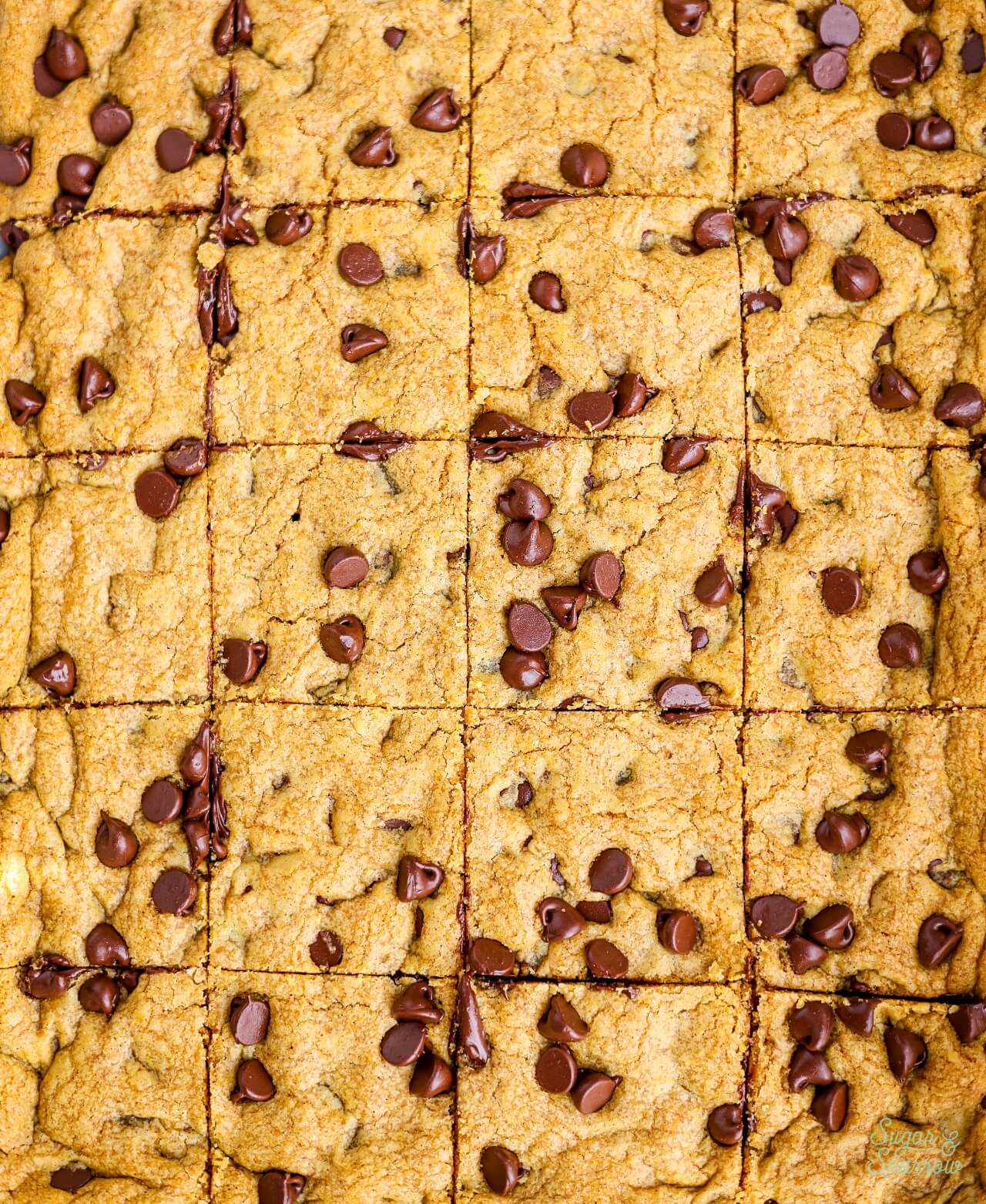 pumpkin chocolate chip cookie bars cut into squares