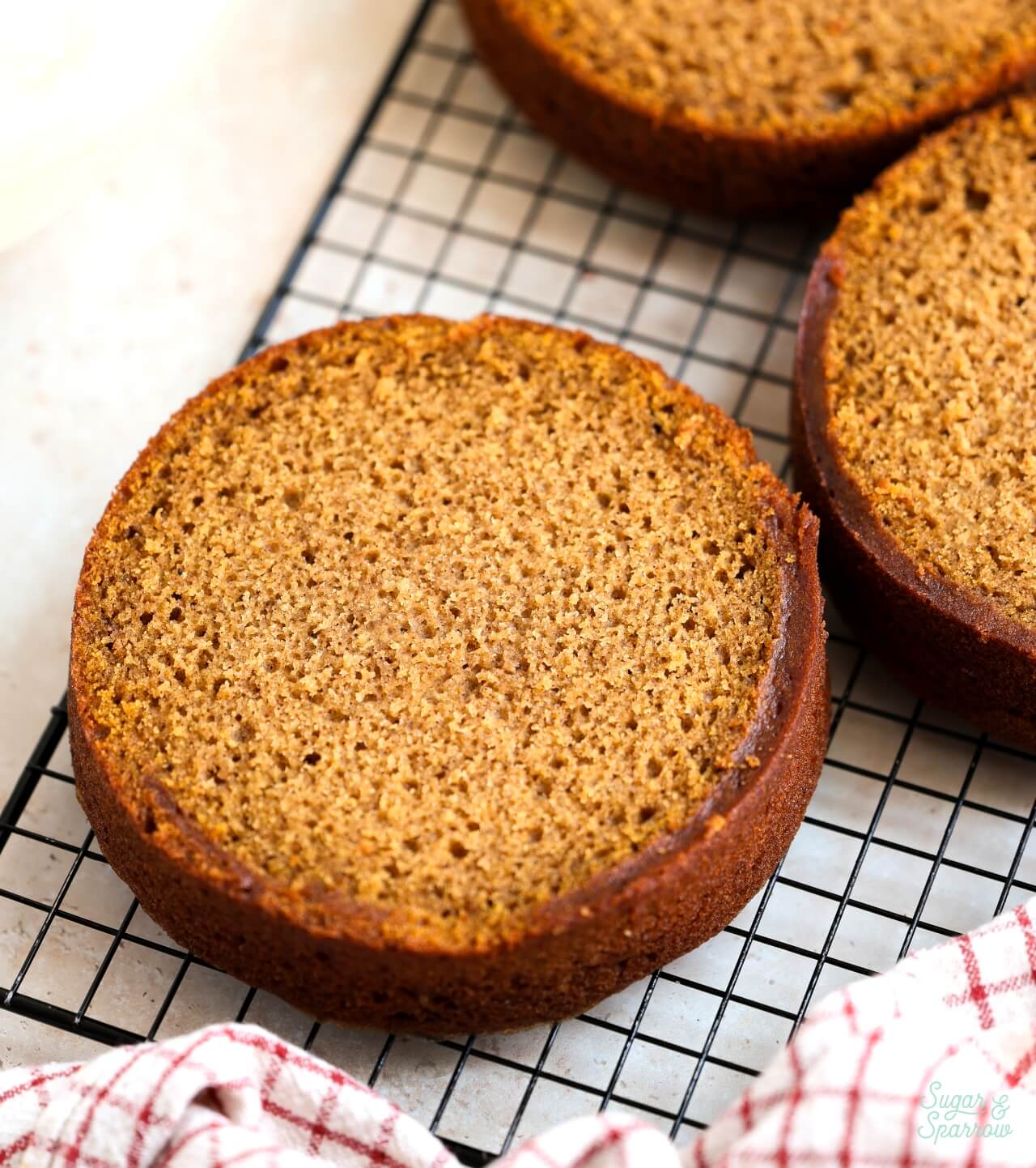 moist pumpkin cake layers cooling on a rack
