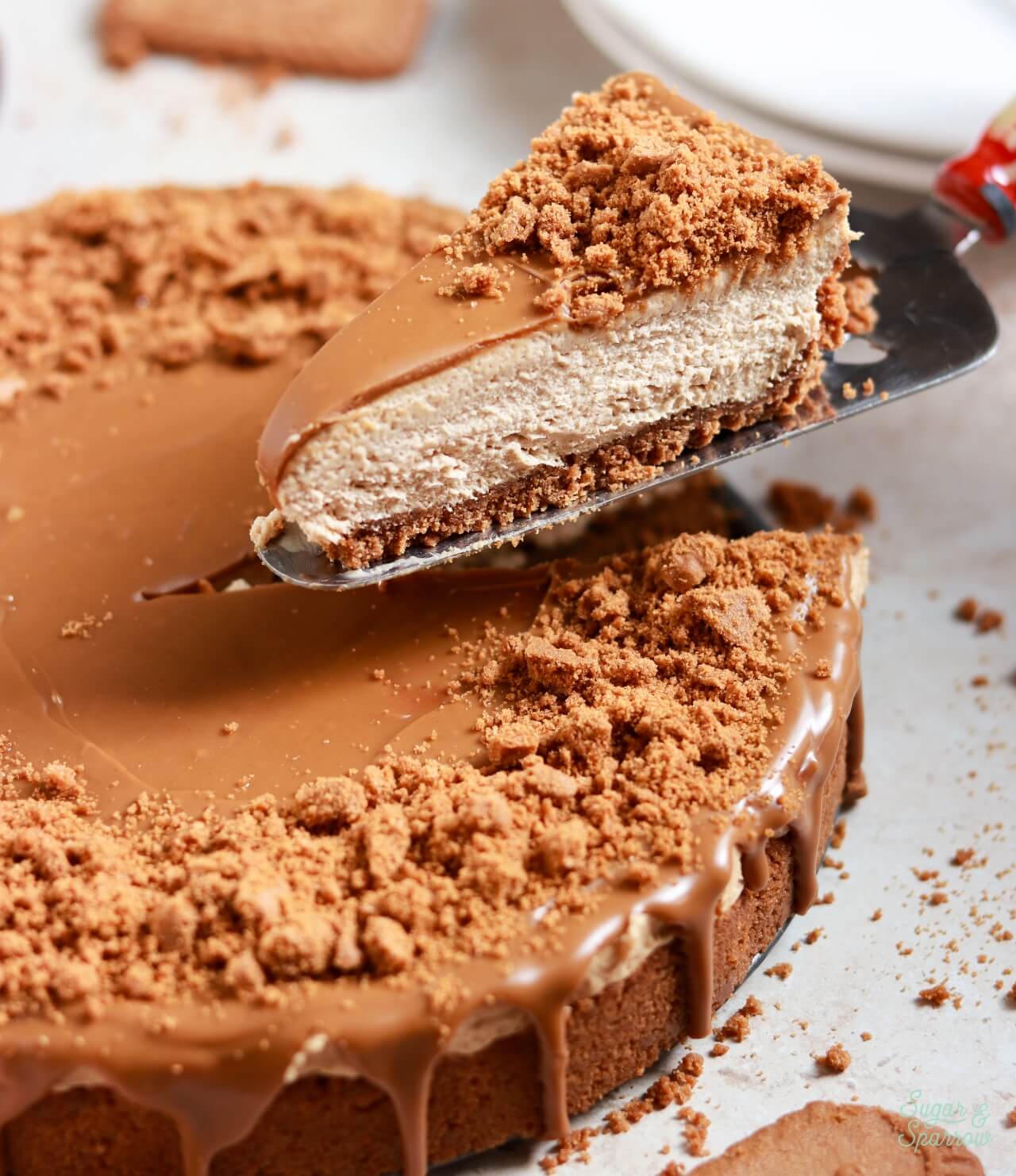 no-bake biscoff cheesecake with biscoff cookie crust and biscoff cookie butter topping