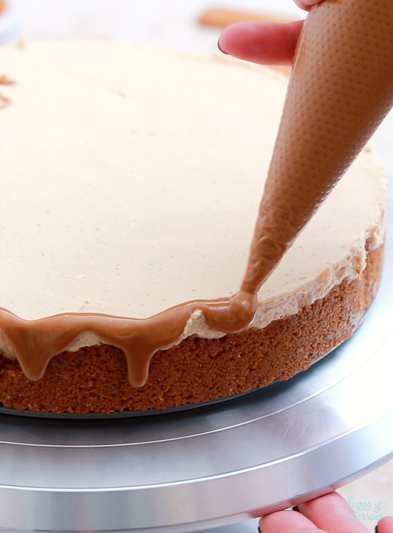 dripping cheesecake with melted biscoff cookie butter