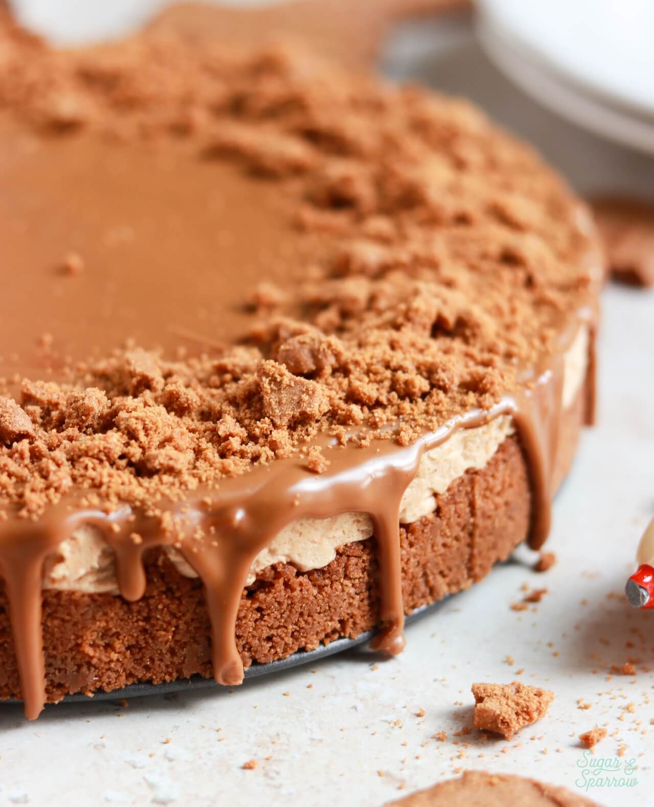 biscoff cookie cheesecake no-bake
