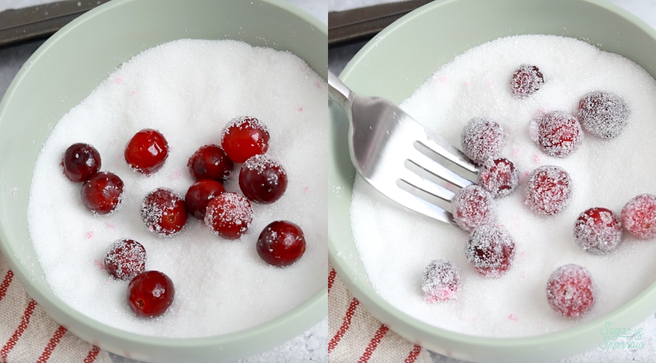 rolling cranberries in sugar to make sugared cranberries