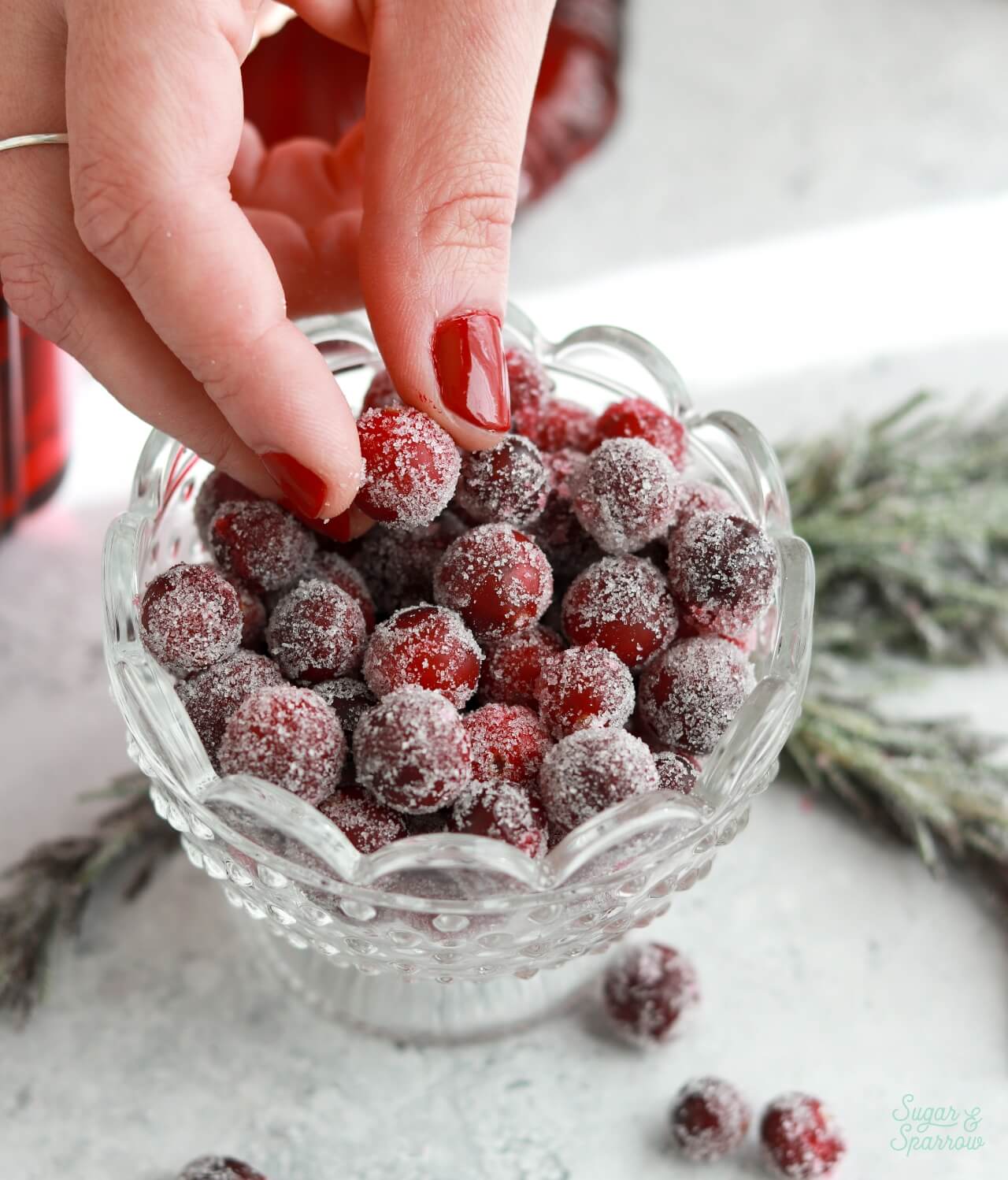 sugared cranberries in a bowl 