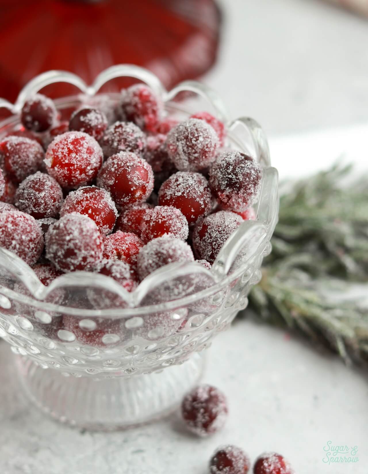 sugared cranberries recipe for garnish