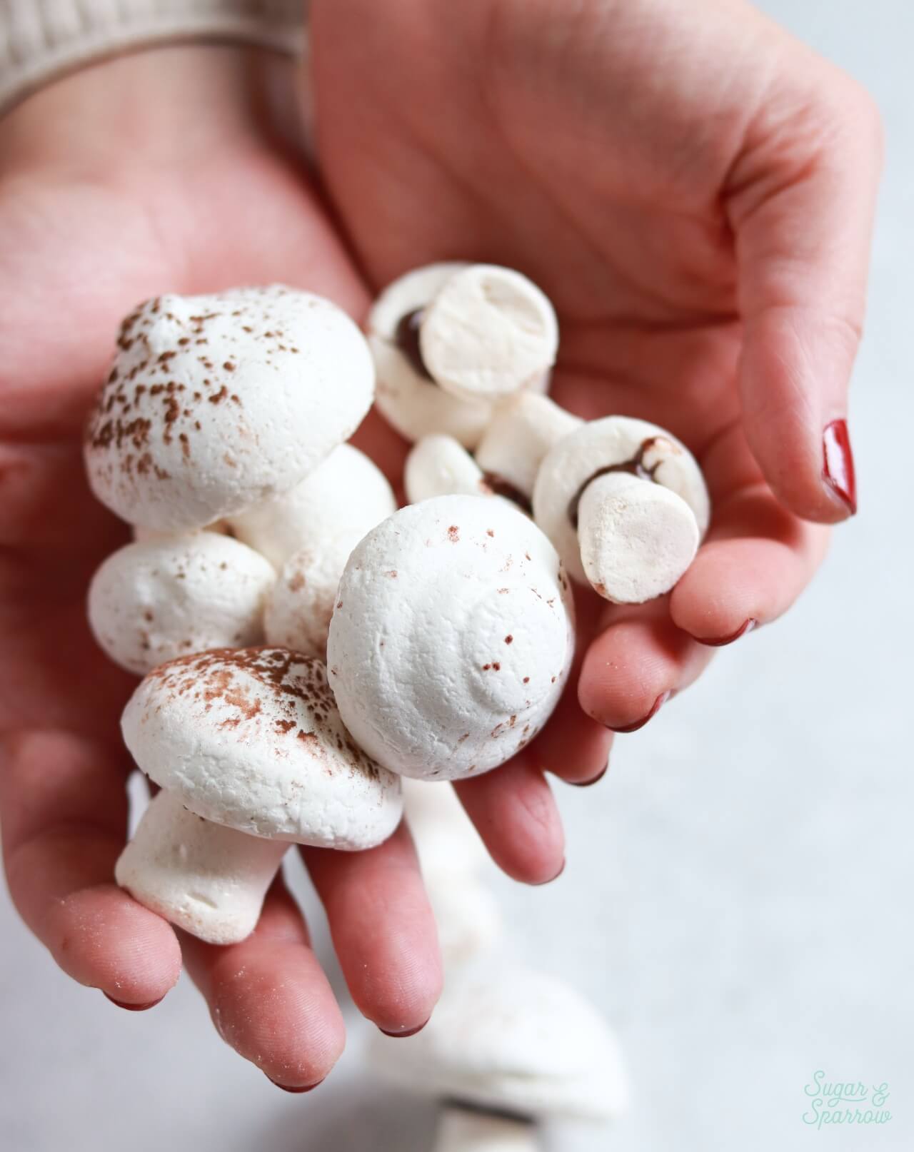 meringue mushrooms recipe