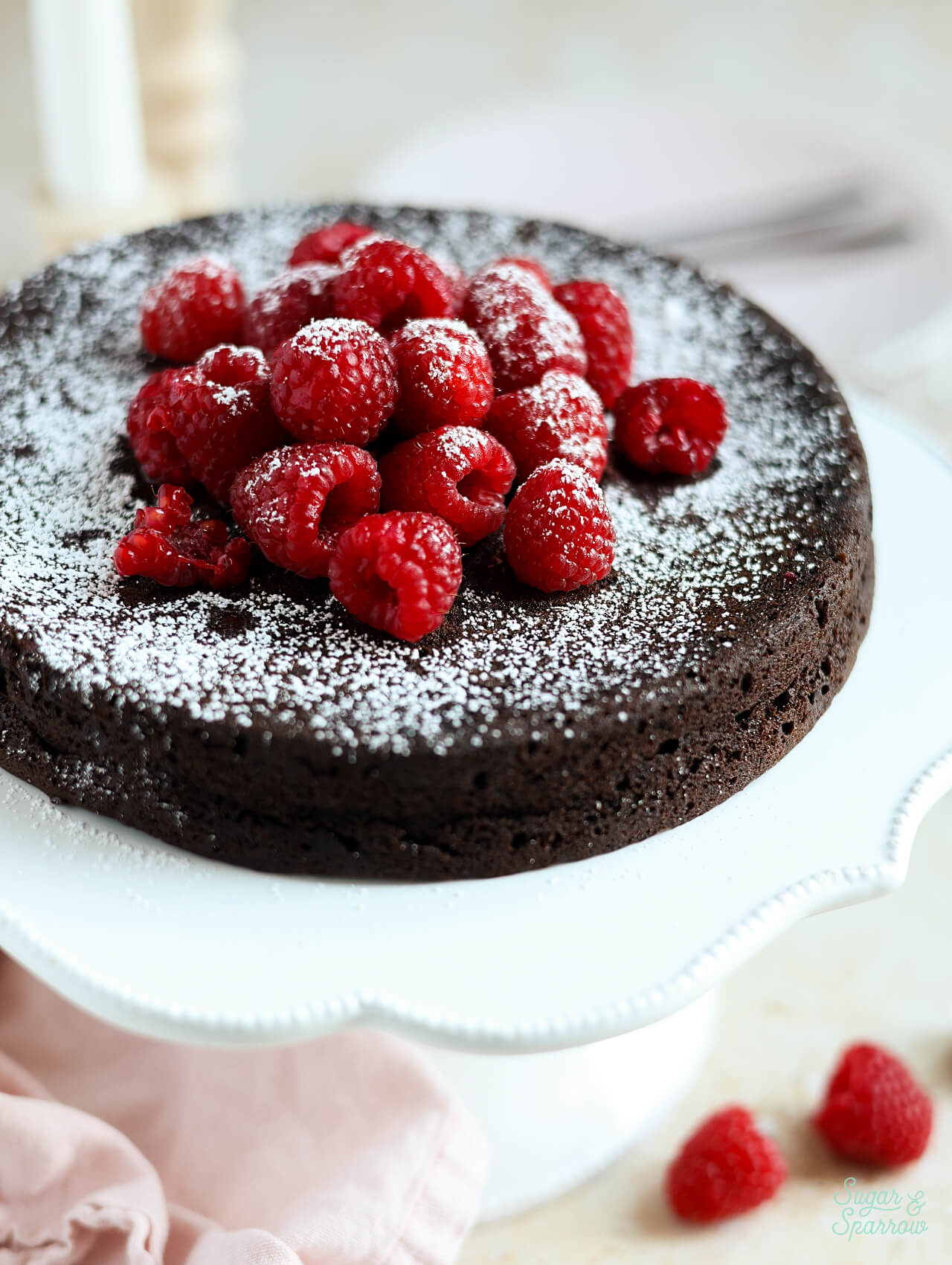 flourless chocolate cake with powdered sugar and raspberries