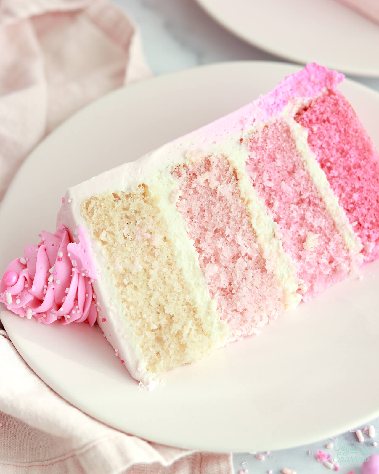pink ombre cake layers