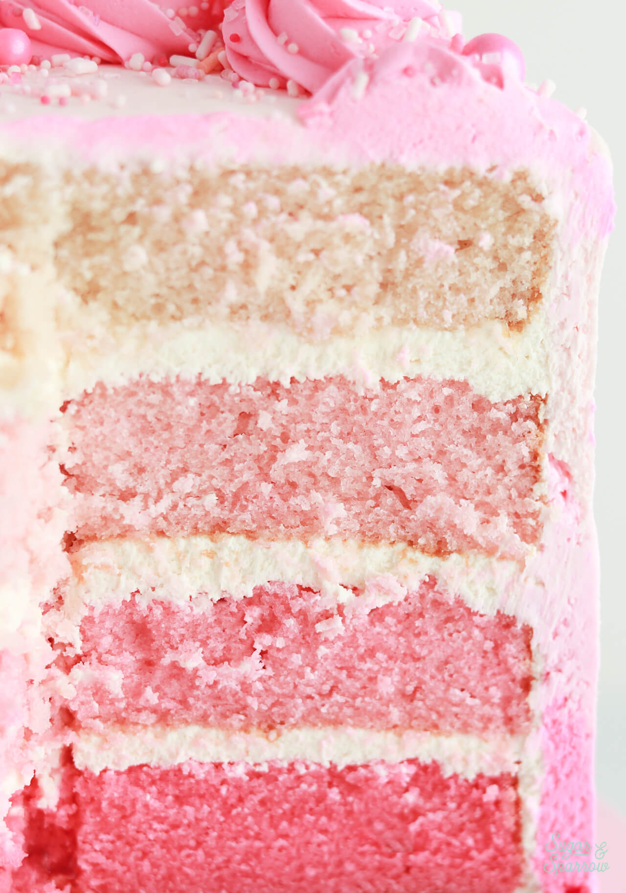pink ombre cake layers