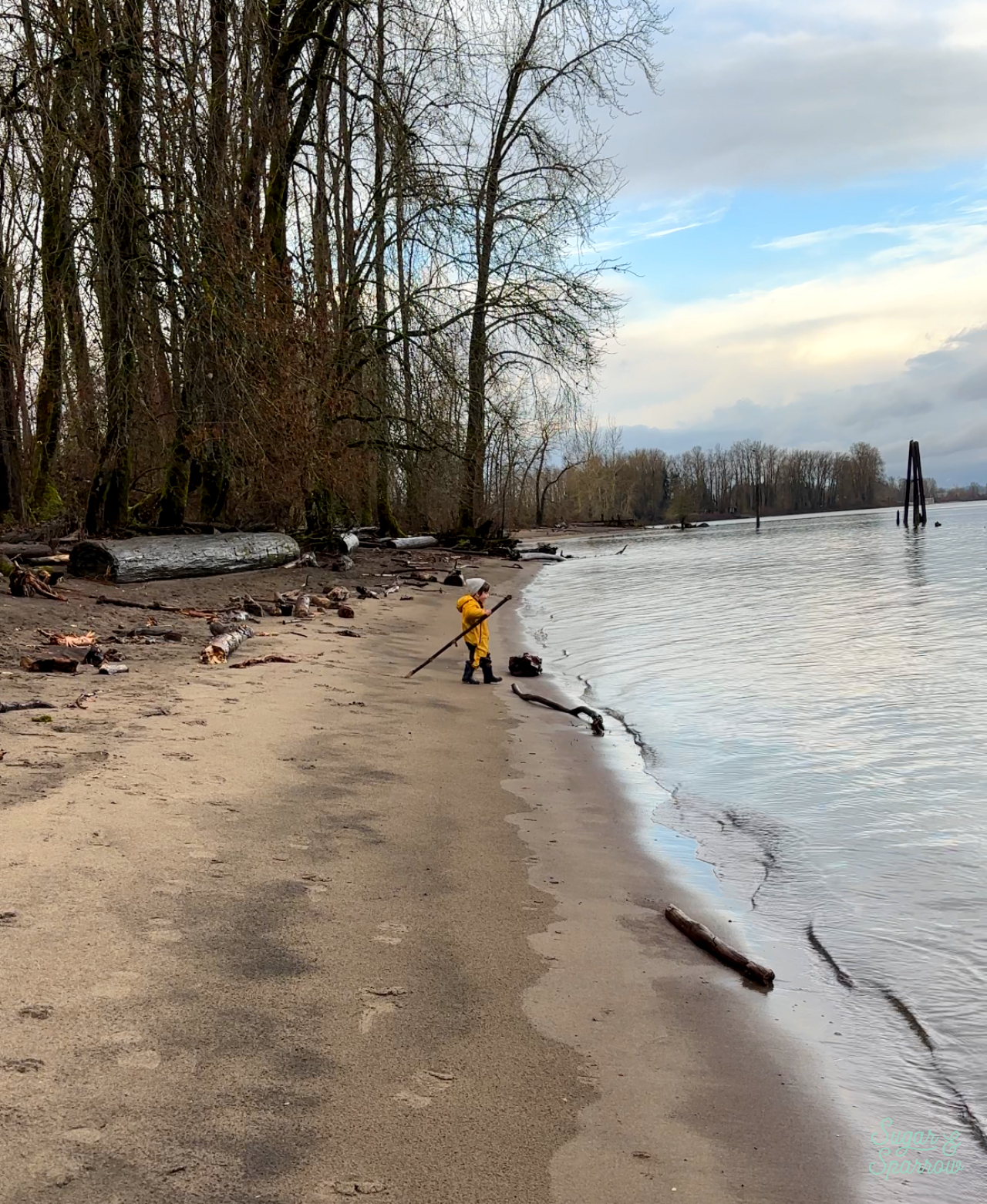 Oregon in the winter