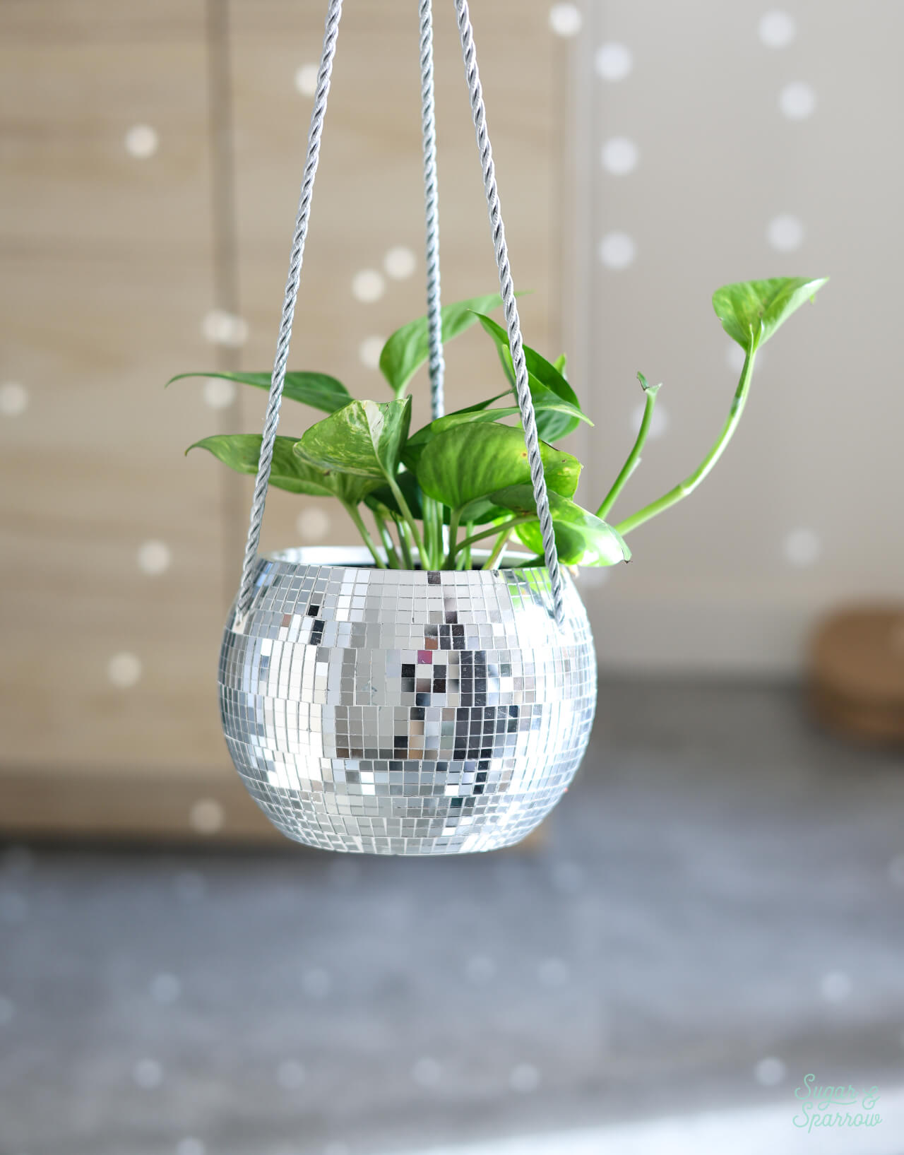 trader joes disco ball planter
