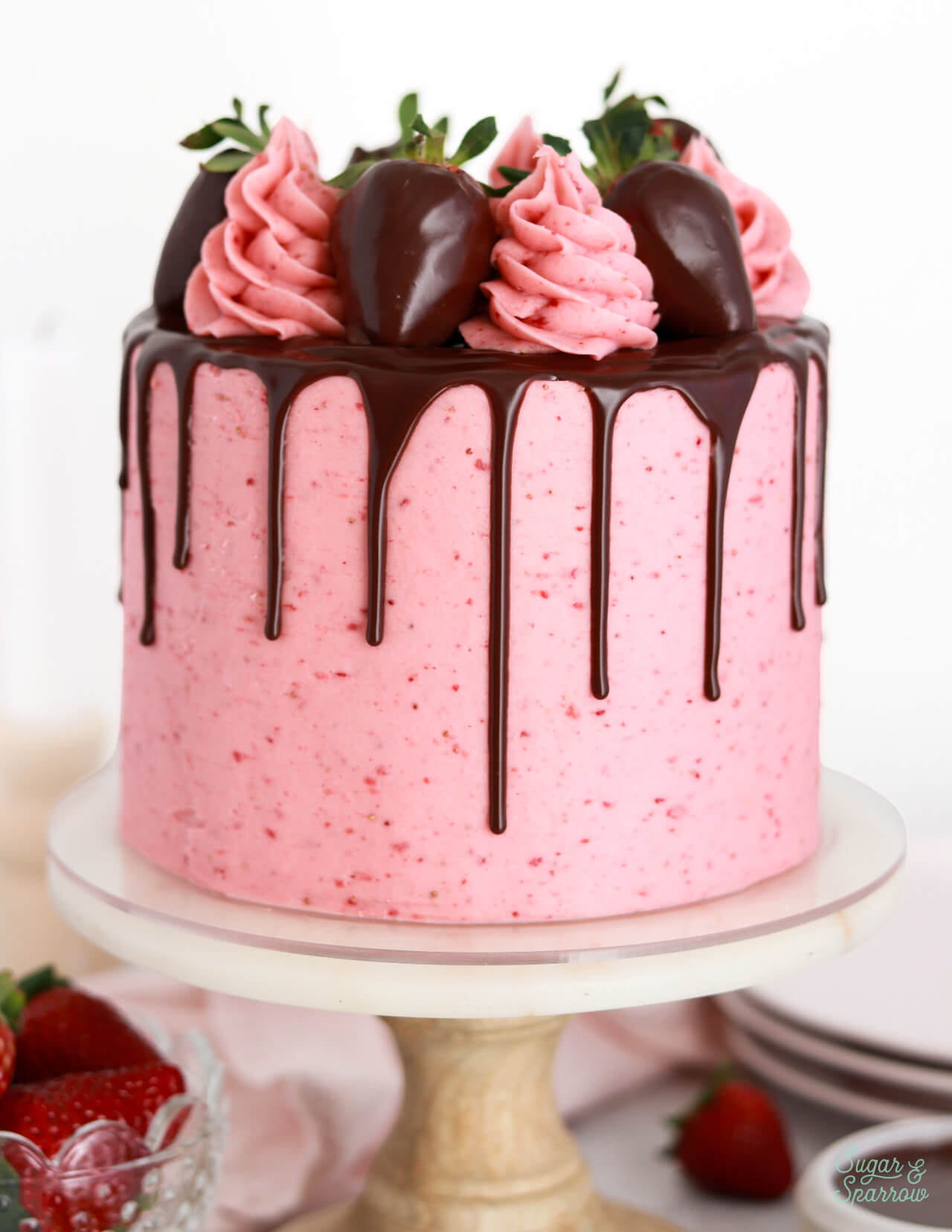 chocolate strawberry cake recipe