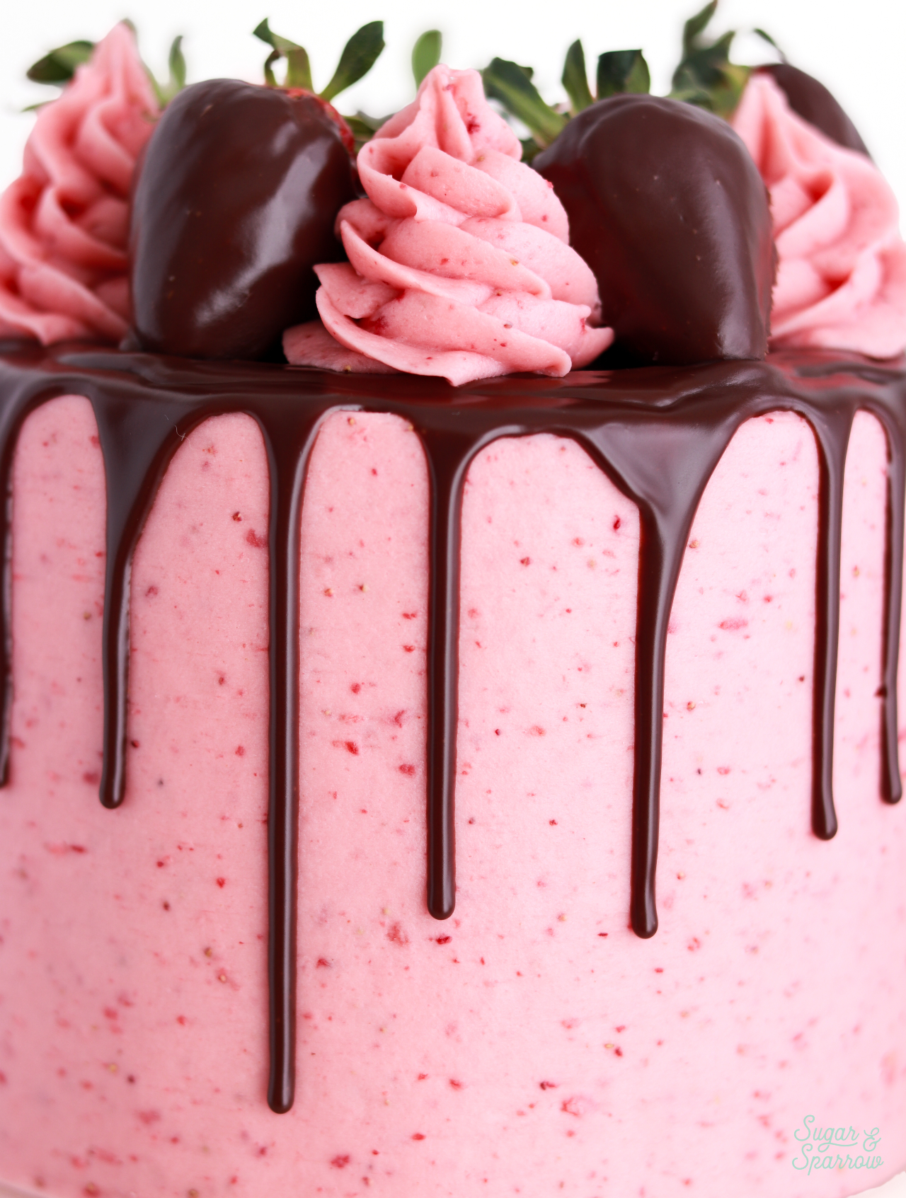 chocolate cake with strawberry frosting and chocolate ganache drip