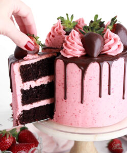 chocolate layer cake with freeze dried strawberry buttercream