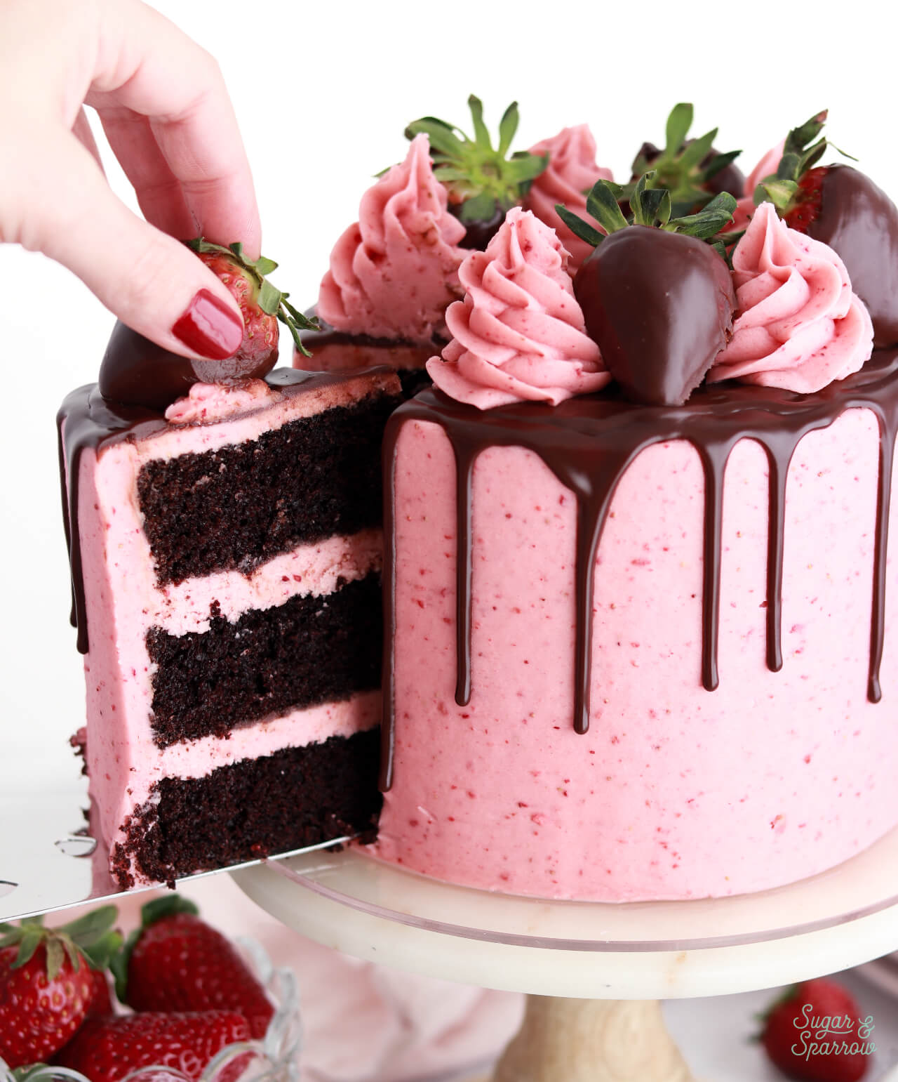 chocolate layer cake with freeze dried strawberry buttercream