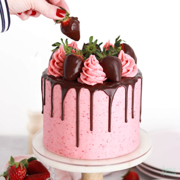 chocolate strawberry cake recipe by sugar and sparrow