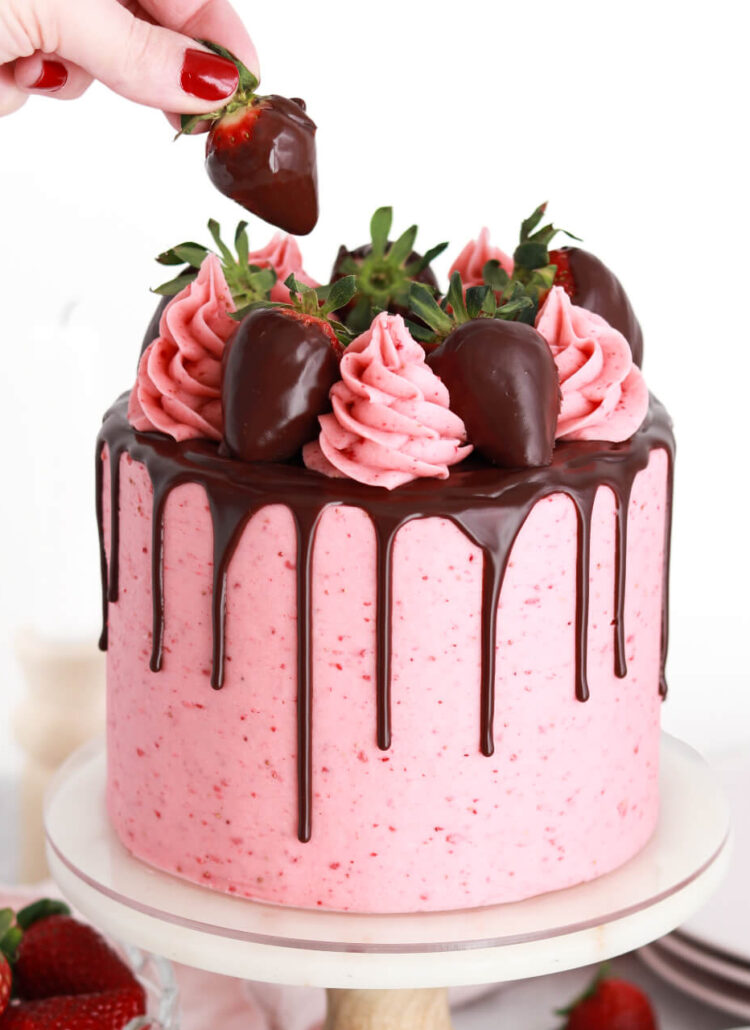 chocolate strawberry cake recipe by sugar and sparrow