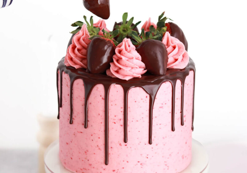 chocolate strawberry cake recipe by sugar and sparrow