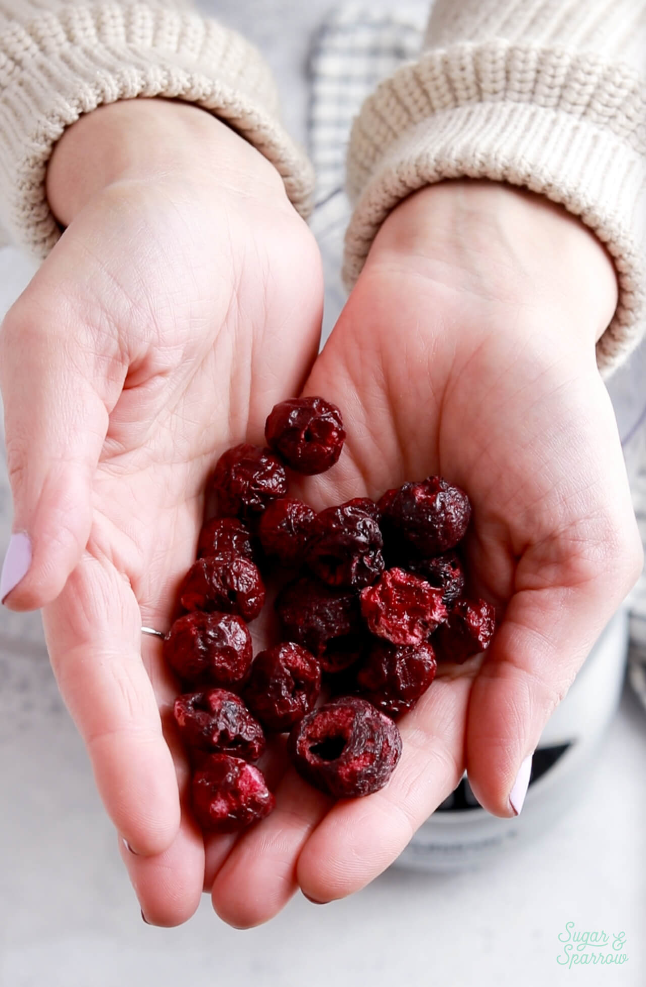 freeze dried cherries