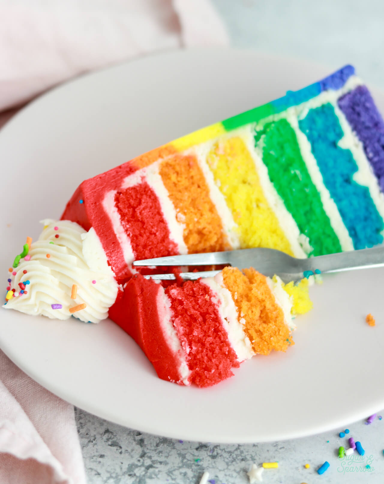 rainbow cake slice