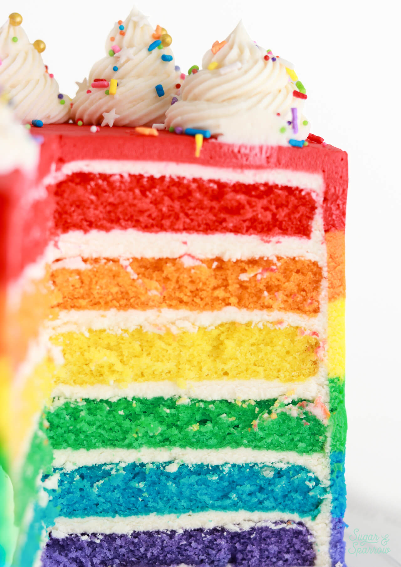 Rainbow cake layers made with vanilla cake recipe