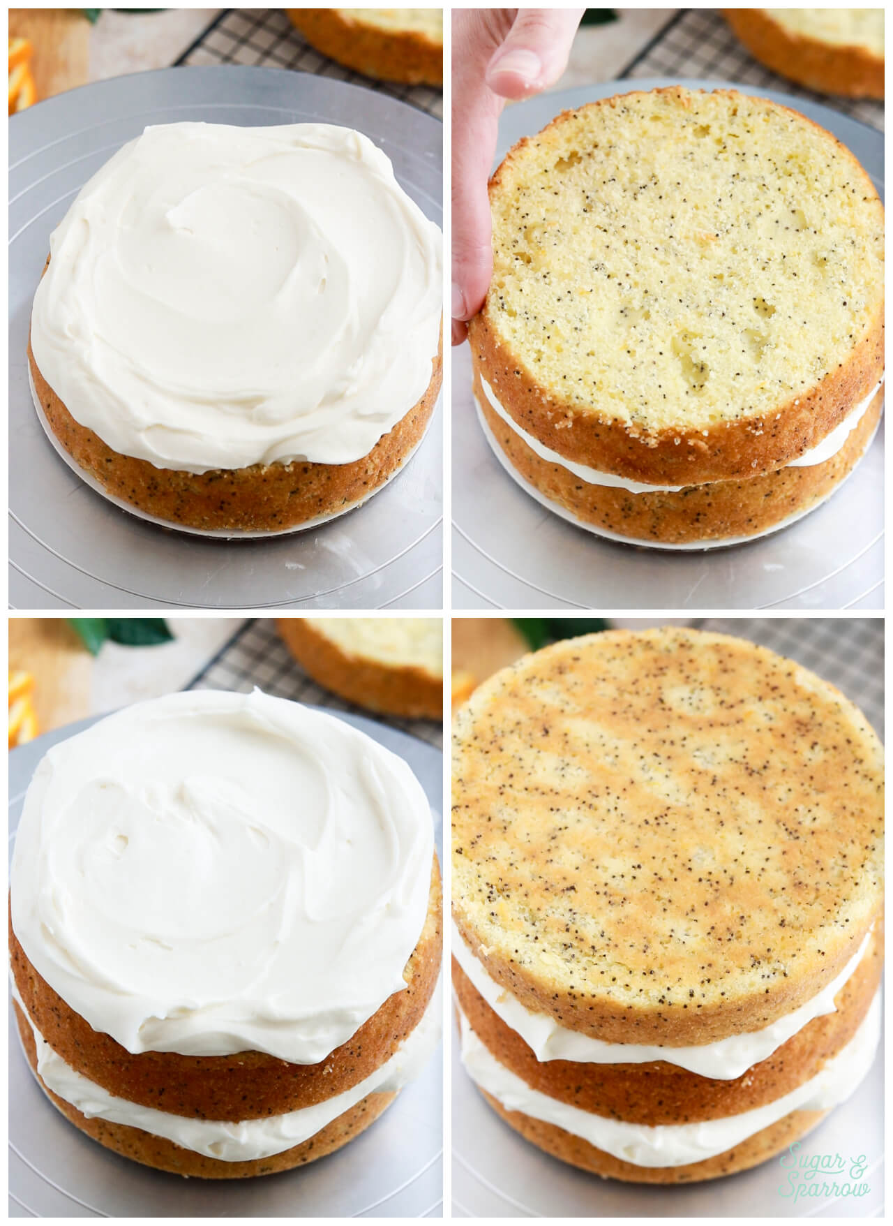 filling and stacking orange poppyseed cake with mascarpone frosting