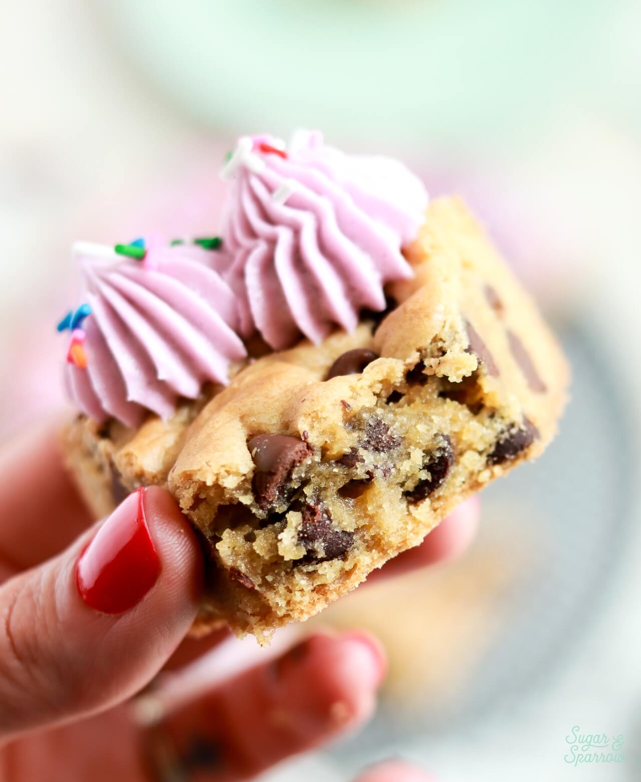 chocolate chip cookie cake fudgy and chewy texture