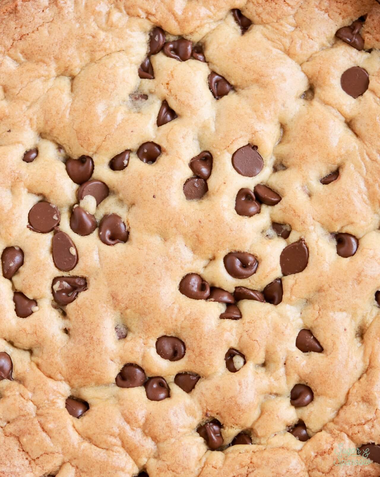 chocolate chip cookie cake closeup