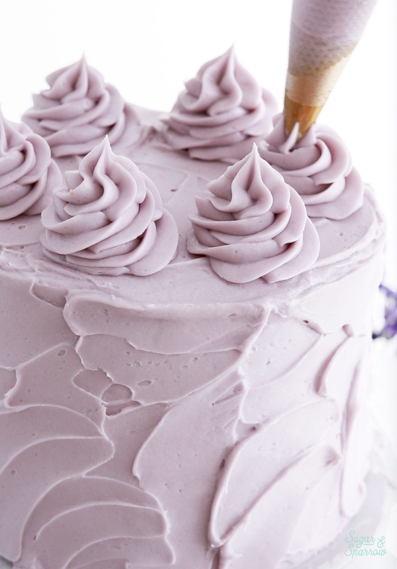 piping a swirl border on cake with lavender buttercream